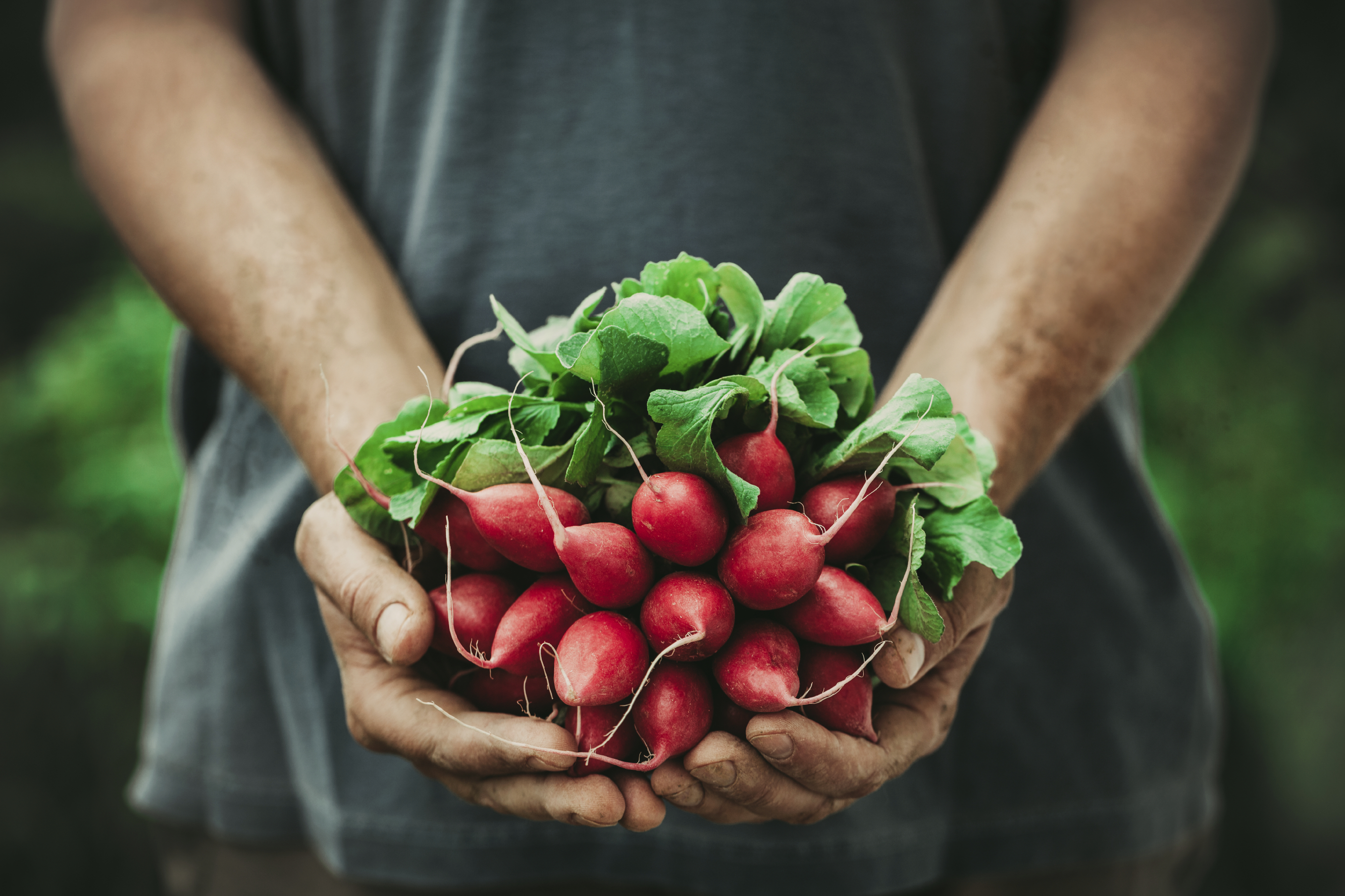 Manger cru pour un sportif, légumes sains.