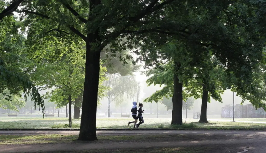 coach sportif parc blandan